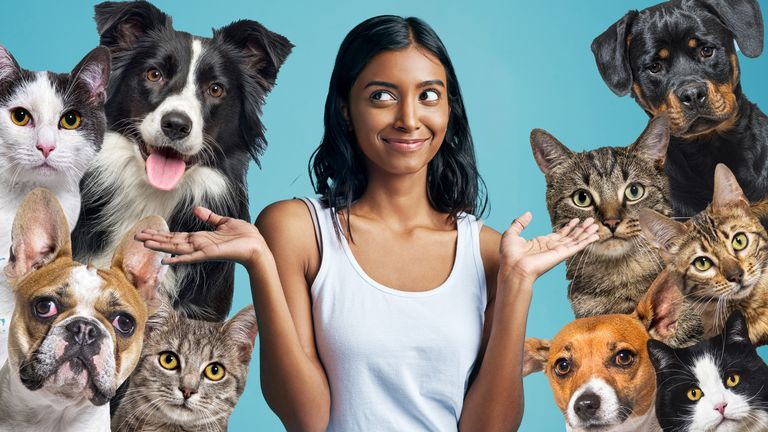 https://www.gettyimages.co.uk/detail/photo/just-a-shrug-of-the-shoulders-royalty-free-image/1143010889 https://www.gettyimages.co.uk/detail/photo/large-group-of-cats-and-dogs-looking-at-the-camera-royalty-free-image/1417882544