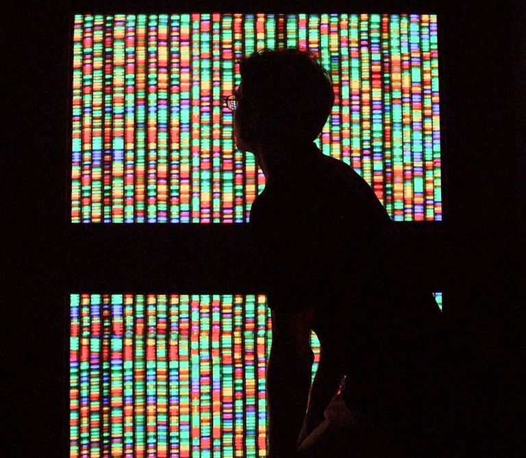 https://www.gettyimages.co.uk/detail/news-photo/visitor-views-a-digital-representation-of-the-human-genome-news-photo/1951595?adppopup=true
