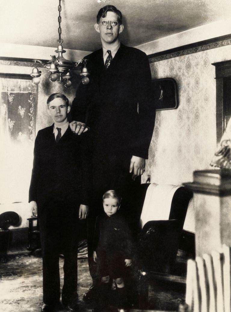 https://www.gettyimages.com/detail/news-photo/robert-wadlow-8-feet-5-3-4-inches-tall-at-age-18-standing-news-photo/514945858