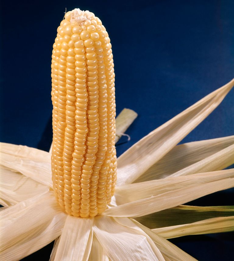 https://www.gettyimages.com/detail/news-photo/yellow-ear-of-corn-husk-pulled-back-news-photo/563942201