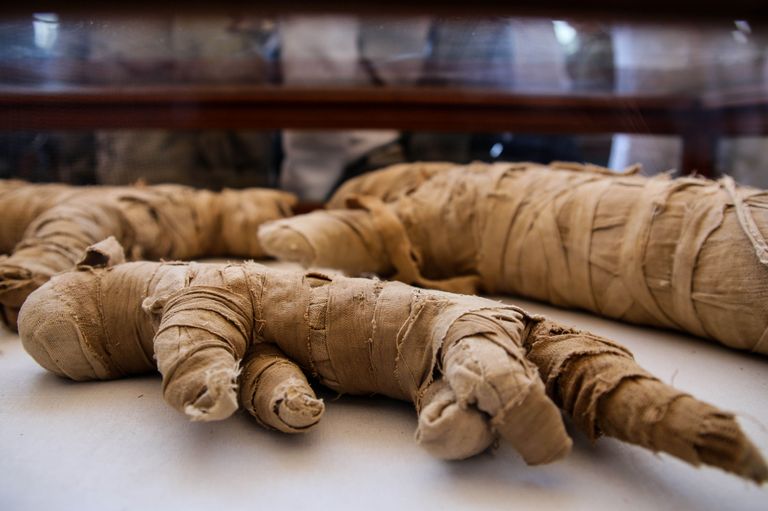 https://www.gettyimages.com/detail/news-photo/november-2019-egypt-giza-mummified-statues-that-was-found-news-photo/1184096869