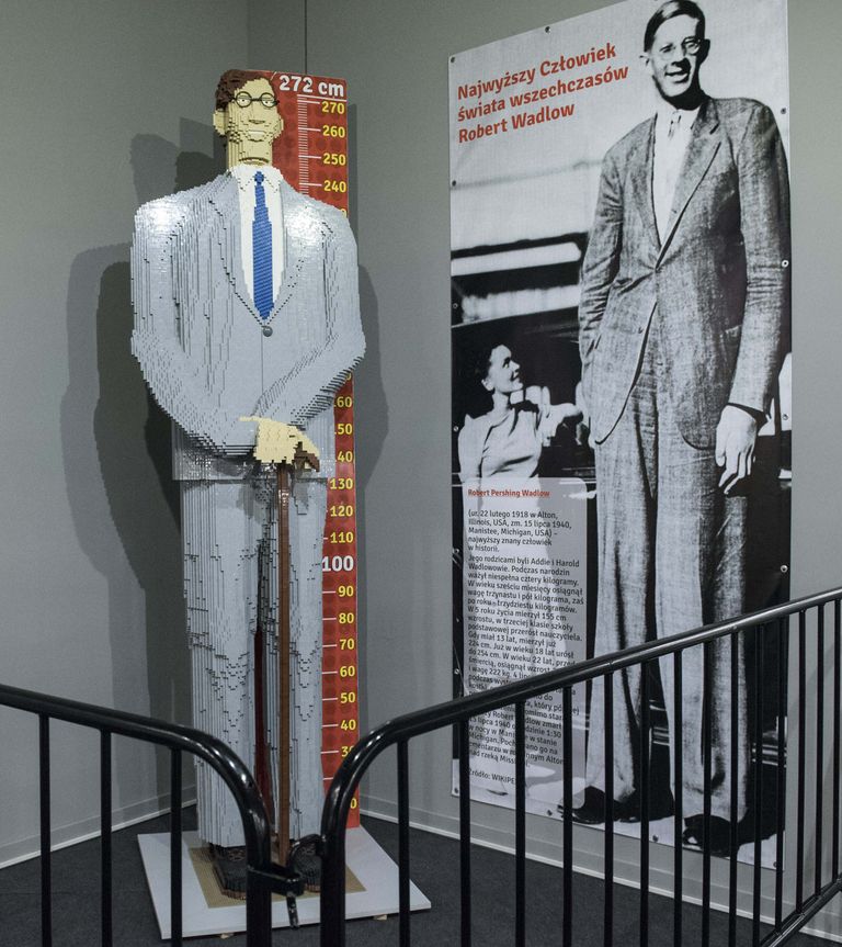 https://www.gettyimages.com/detail/news-photo/robert-wadlow-the-worlds-tallest-man-made-of-lego-bricks-is-news-photo/547273808