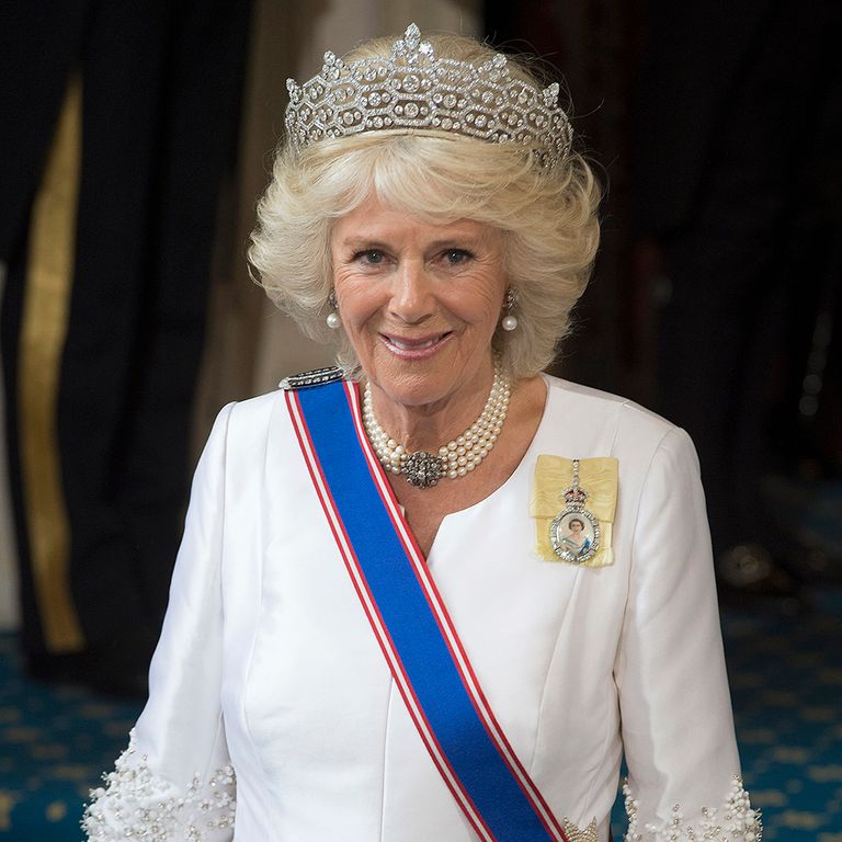 https://www.gettyimages.com/detail/news-photo/camilla-duchess-of-cornwall-arrives-at-the-state-opening-of-news-photo/532101848