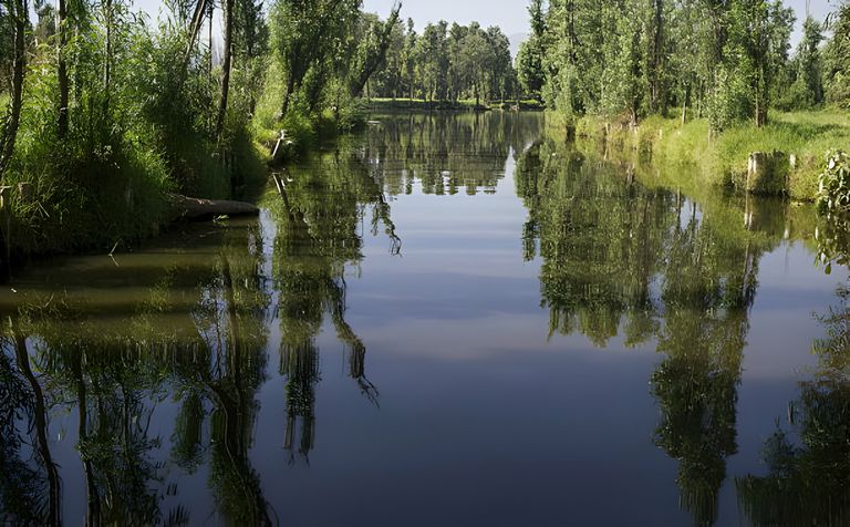 https://www.gettyimages.co.uk/detail/news-photo/view-of-a-typical-xochimilco-channel-where-vegetables-are-news-photo/146214829