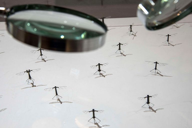 https://www.gettyimages.co.uk/detail/news-photo/robobees-are-exhibited-at-the-2016-tianjin-world-economic-news-photo/544762634