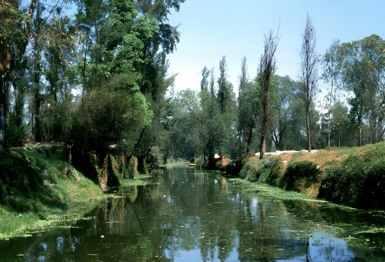 https://www.gettyimages.co.uk/detail/news-photo/the-aztec-canals-at-the-floating-gardens-of-xochimilco-the-news-photo/152201035