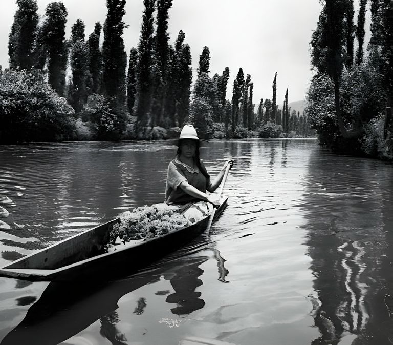 https://www.gettyimages.co.uk/detail/news-photo/mexico-mexiko-xochimilco-woman-on-a-boat-at-floating-news-photo/543842527