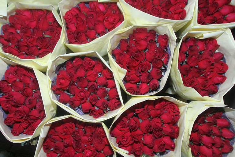 https://www.gettyimages.co.uk/detail/news-photo/bouquet-of-red-roses-for-sale-before-the-valentines-day-news-photo/510264144?adppopup=true